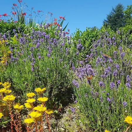 La Pommeraie - Le Coin Ardenne Apartamento