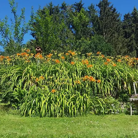 La Pommeraie - Le Coin Ardenne * Sainte-Ode