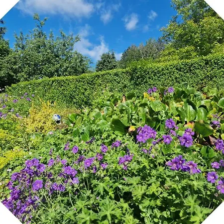 Apartmán 2 Pers - La Pommeraie - Le Coin Ardenne Sainte-Ode