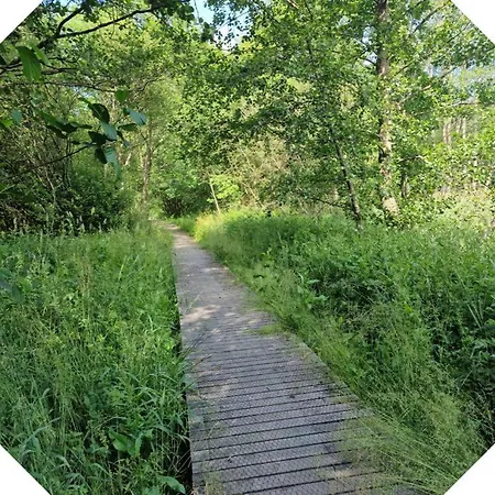 2 Pers - La Pommeraie - Le Coin Ardenne