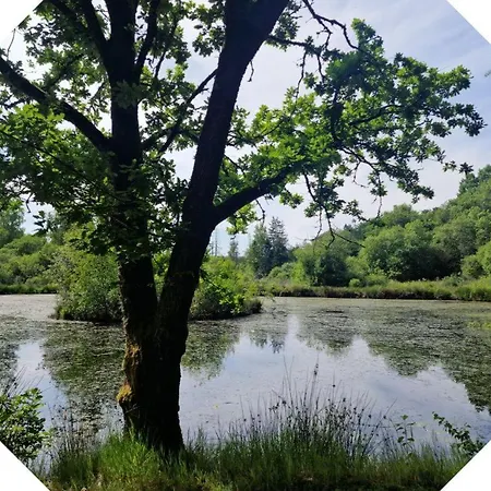 2 Pers - La Pommeraie - Le Coin Ardenne