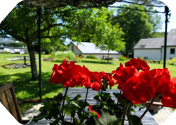 La Pommeraie - Le Coin Ardenne *